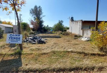 Terrenos en  Partido De Guaminí, Buenos Aires (fuera De Gba)