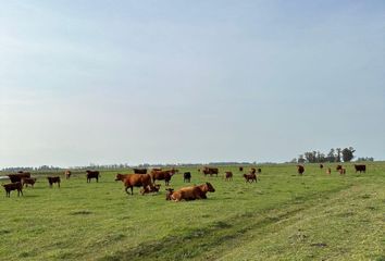 Terrenos en  Alvarez De Toledo, Partido De Saladillo