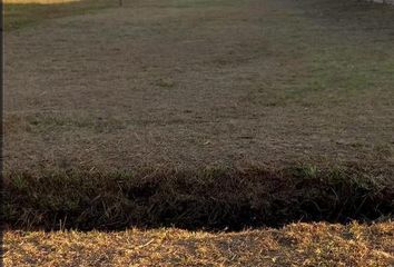 Terrenos en  Los Hornos, Partido De La Plata