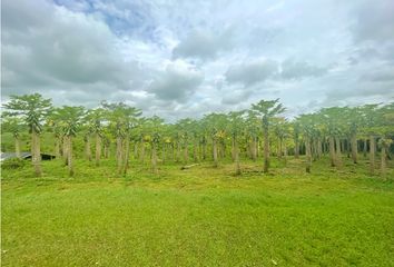 Lote de Terreno en  Montenegro, Quindío