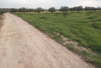 Terreno en  Puebla De Sancho Perez, Badajoz Provincia