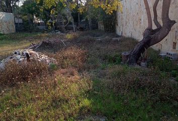 Lote de Terreno en  Martin A Martinez, Altamira