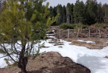 Terrenos en  Lácar, Neuquen