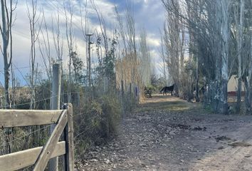 Terrenos en  Santa Rosa, Mendoza