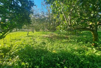 Terreno en  Sanxenxo, Pontevedra Provincia