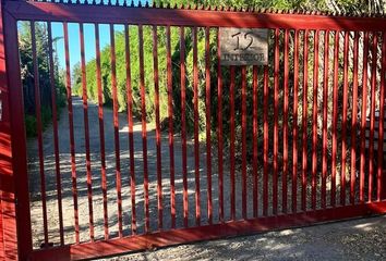 Bodega en  Peñaflor, Talagante