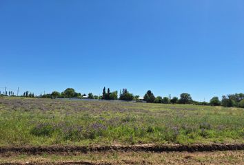 Terrenos en  Ataliva Roca, La Pampa