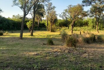 Terrenos en  Lavalle, Corrientes