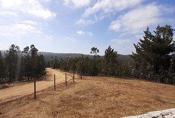 Parcela en  Paredones, Cardenal Caro