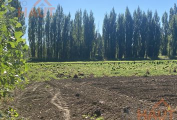 Casa en  Vista Alegre, Neuquen