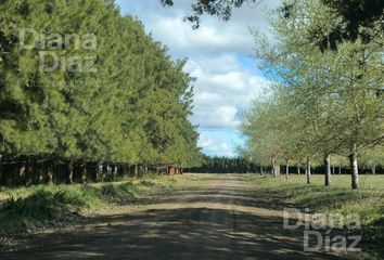 Terrenos en  Cañuelas, Partido De Cañuelas