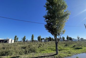 Terrenos en  La Plata, Partido De La Plata