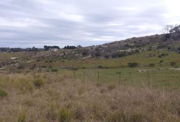 Terrenos en  Tandil, Partido De Tandil