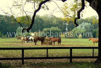 Terrenos en  Estancia Benquerencia, Partido De Monte