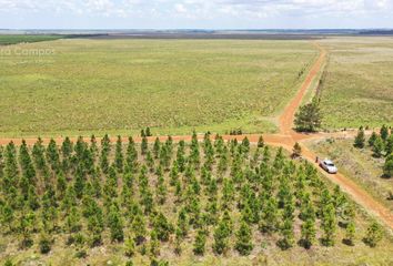 Terrenos en  Santo Tomé, Corrientes