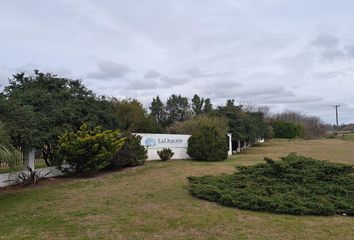 Terrenos en  Cañuelas, Partido De Cañuelas