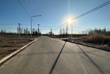 Terrenos en  Plottier, Neuquen