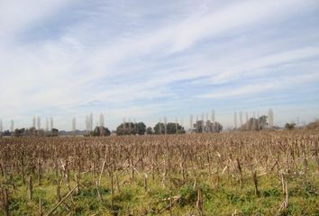 Terrenos en  Los Cardales, Exaltación De La Cruz