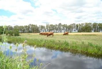 Terrenos en  Hucal, La Pampa