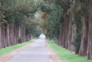 Terrenos en  Abasto, Partido De La Plata