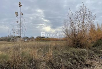 Terrenos en  General Roca, Río Negro