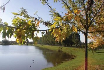 Terrenos en  Laguna Del Sol, Partido De Tigre