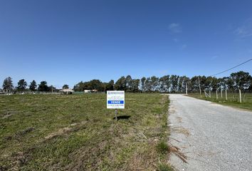 Terrenos en  Los Cardales, Partido De Campana