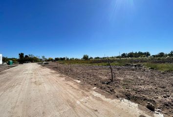 Terrenos en  Dique Luján, Partido De Tigre