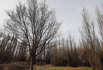 Terrenos en  Confluencia, Neuquen