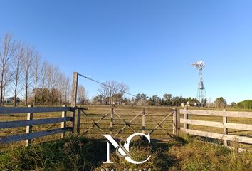 Terrenos en  Estancia Las Lilas, Partido De Luján