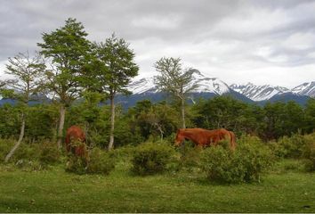 Terrenos en  Los Cipreses, Chubut