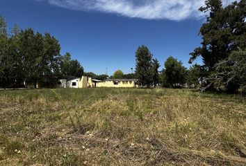 Terrenos en  Lisandro Olmos, Partido De La Plata