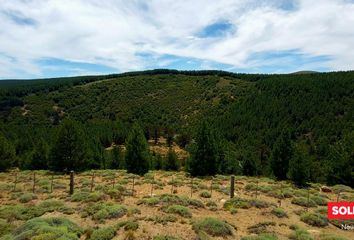 Casa en  Moquehue, Neuquen