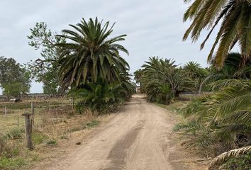 Terrenos en  Tacural, Santa Fe