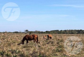 Terrenos en  San Luis Del Palmar, Corrientes