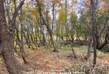 Terrenos en  Dos Lagos Villas & Marinas, Neuquen