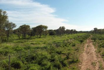 Terrenos en  Quilino, Córdoba