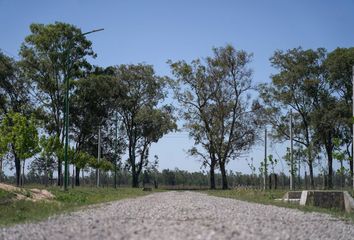 Terrenos en  Piñero, Santa Fe