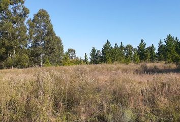 Terrenos en  Concordia, Entre Ríos