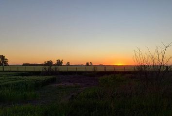 Terrenos en  Carmen De Areco, Partido De Carmen De Areco