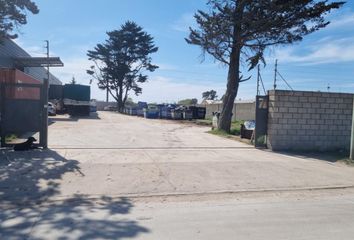 Galpónes/Bodegas en  El Gaucho, Mar Del Plata