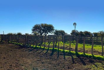 Terrenos en  Eduardo Castex, La Pampa