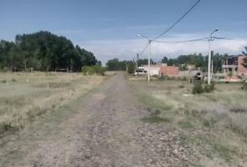 Terrenos en  Plottier, Neuquen