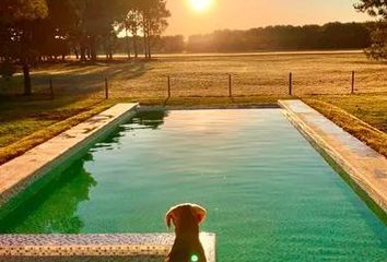 Casa en  Barrio Cerrado Costa Esmeralda, Pinamar