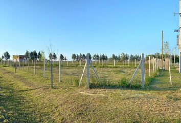 Terrenos en  Alto Los Cardales, Partido De Campana