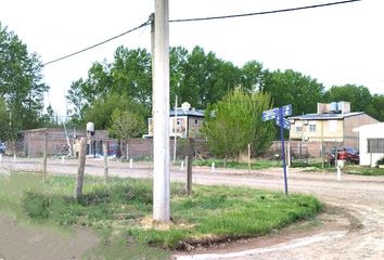 Terrenos en  San Patricio Del Chañar, Neuquen