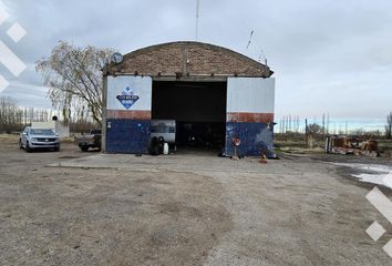 Galpónes/Bodegas en  Plottier, Neuquen