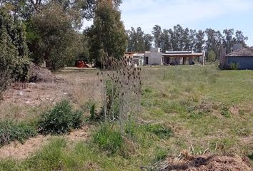 Terrenos en  Coronel Brandsen, Brandsen