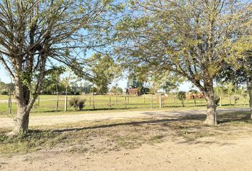 Terrenos en  Las Chacras, Partido De Lobos