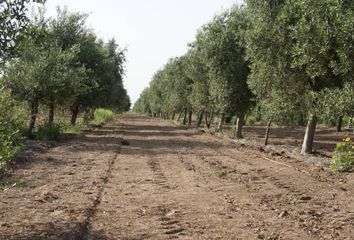 Terrenos en  Huillapima, Catamarca